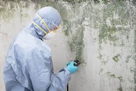 Why You Should Choose Our Mold Remediation Services in Cleveland, GA